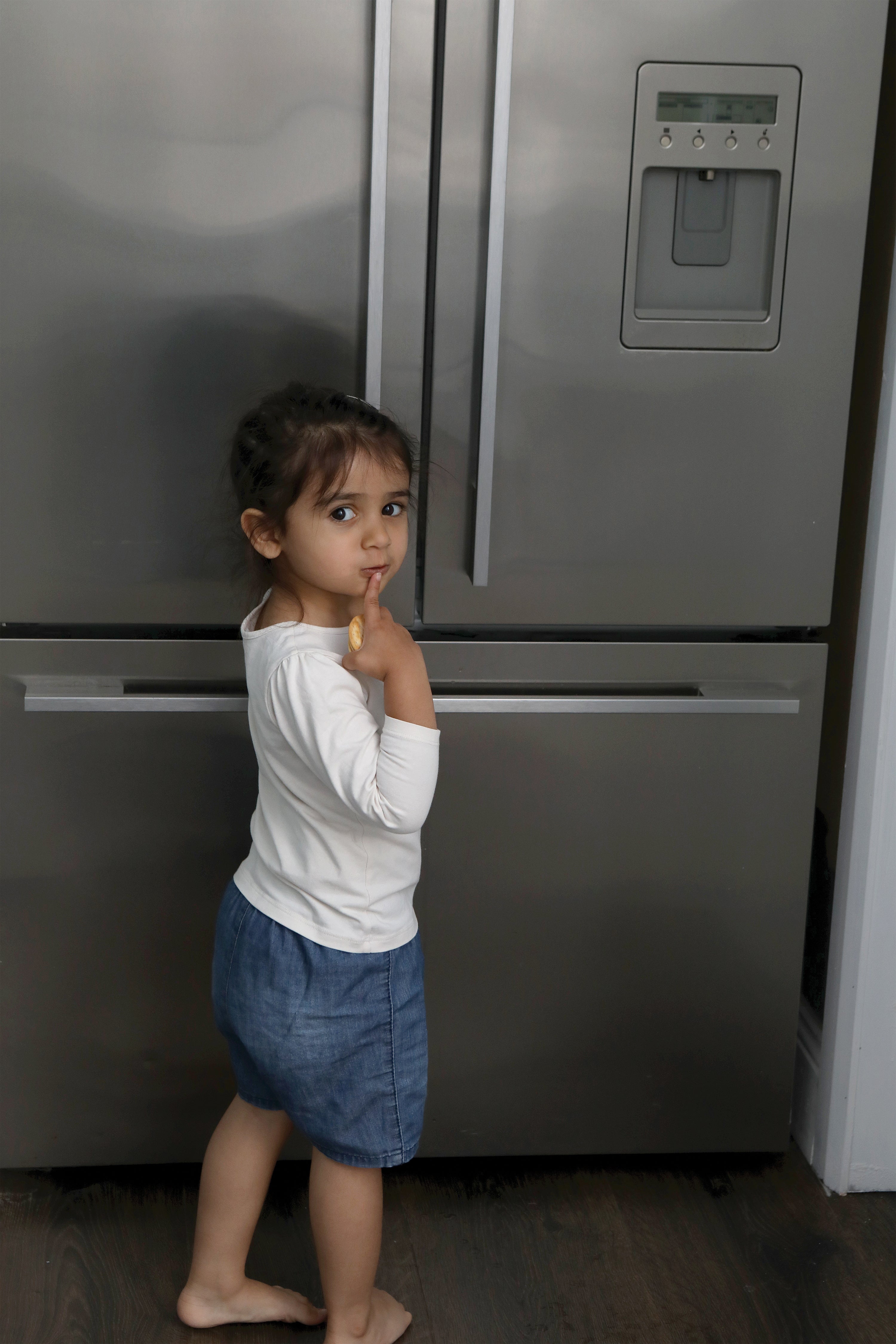 Refrigerator & Appliance Latch