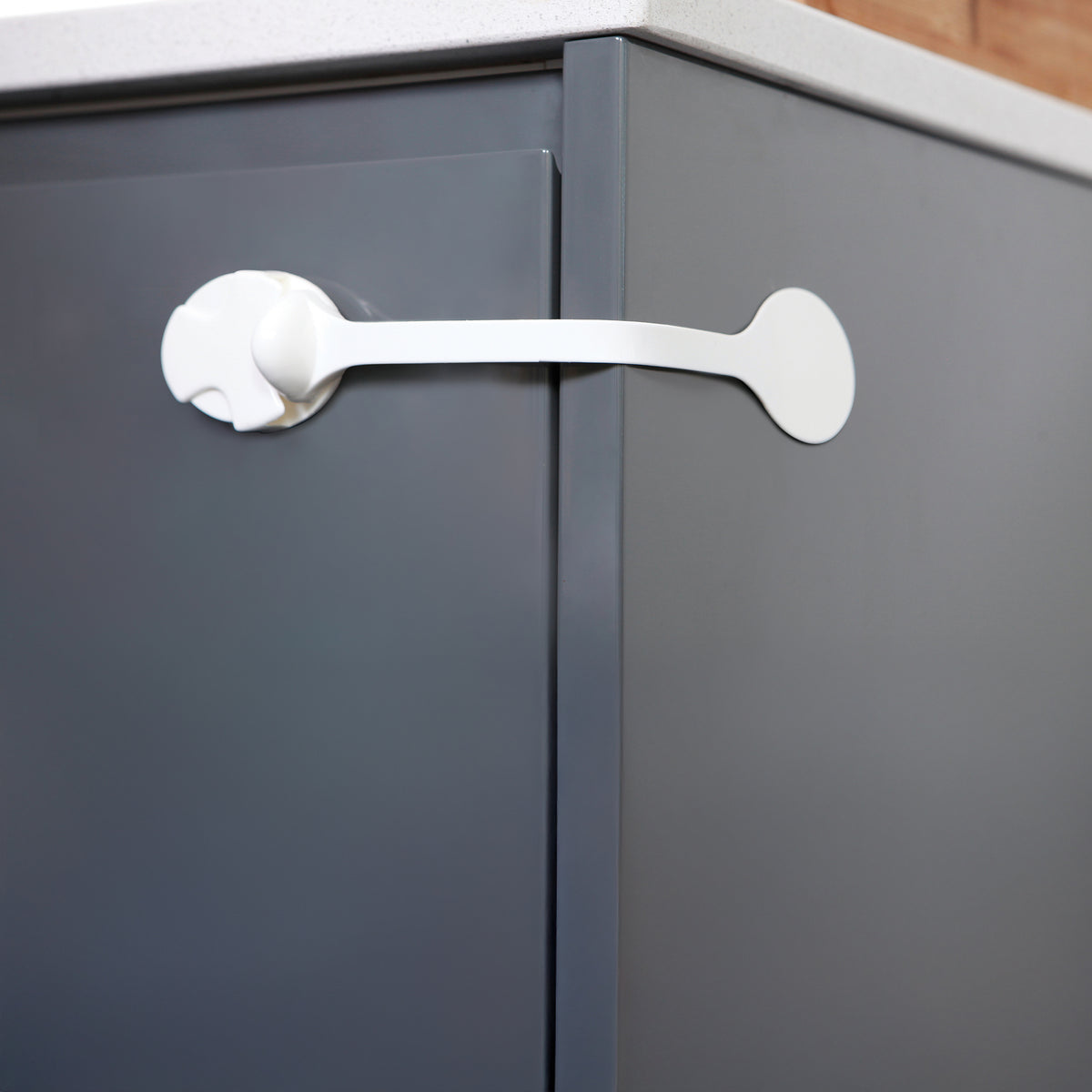 Toilet Lock