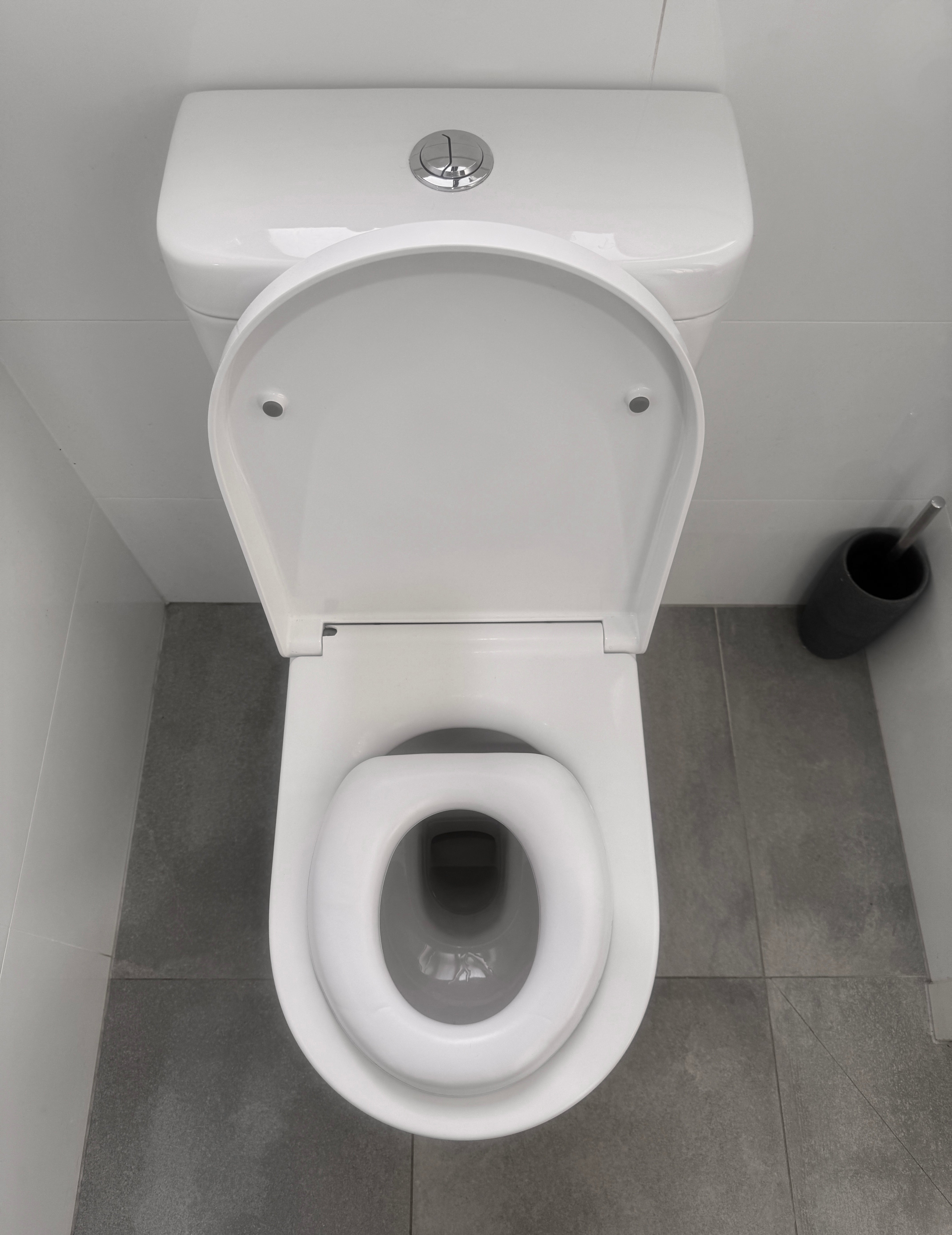 Soft Cushion Potty Seat