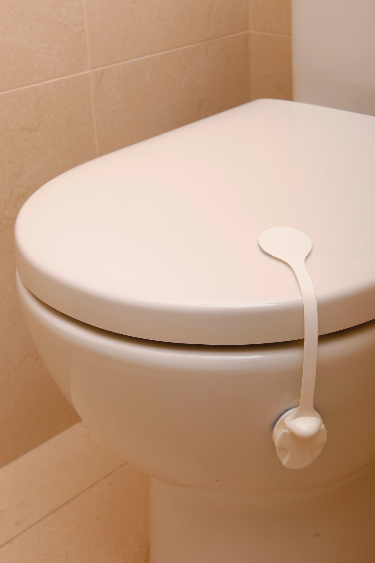 Toilet Lock