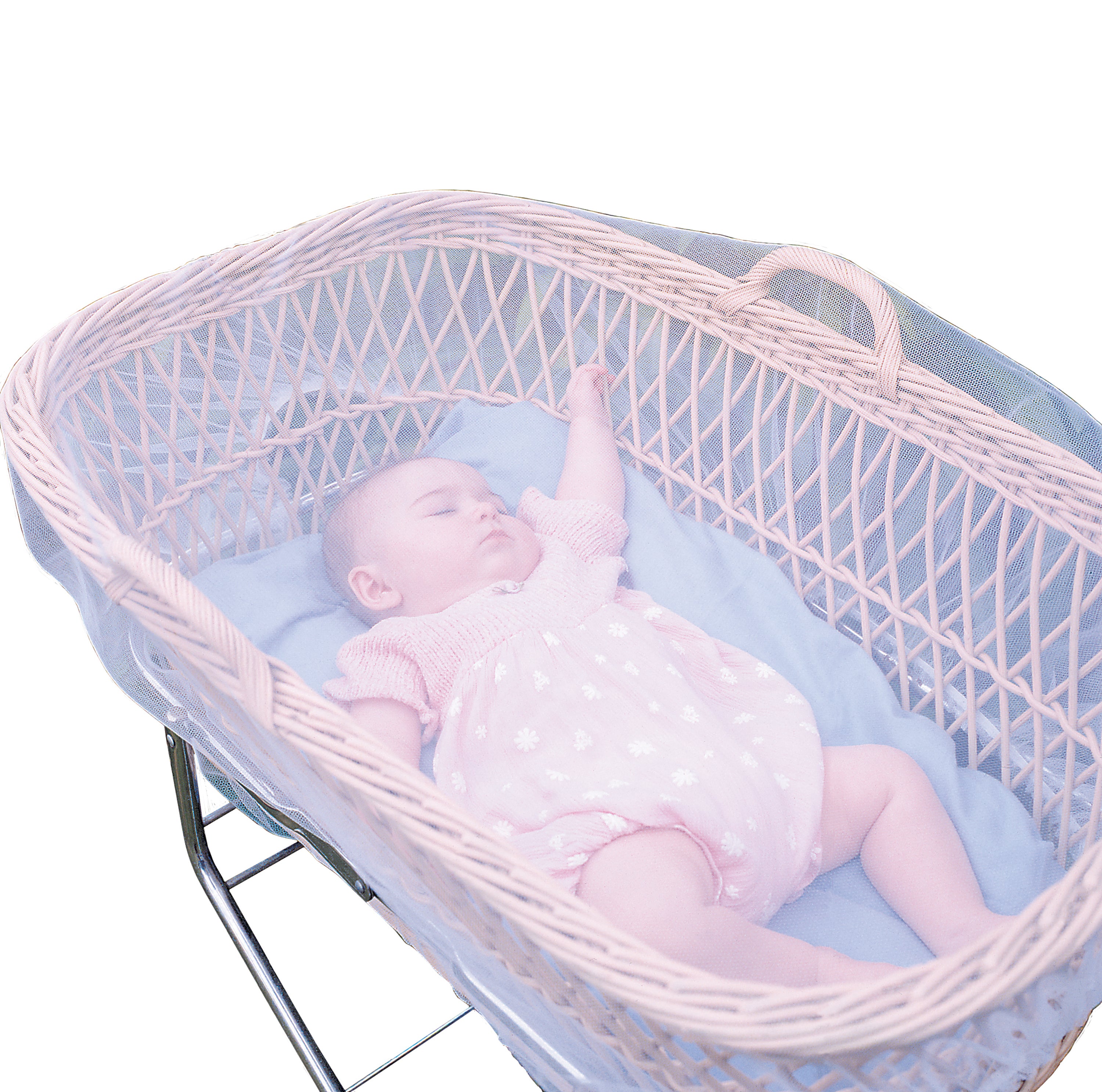 Stroller Insect Netting