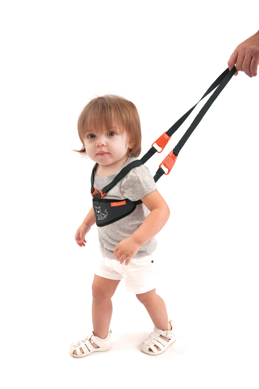 Deluxe Safety Walking Harness