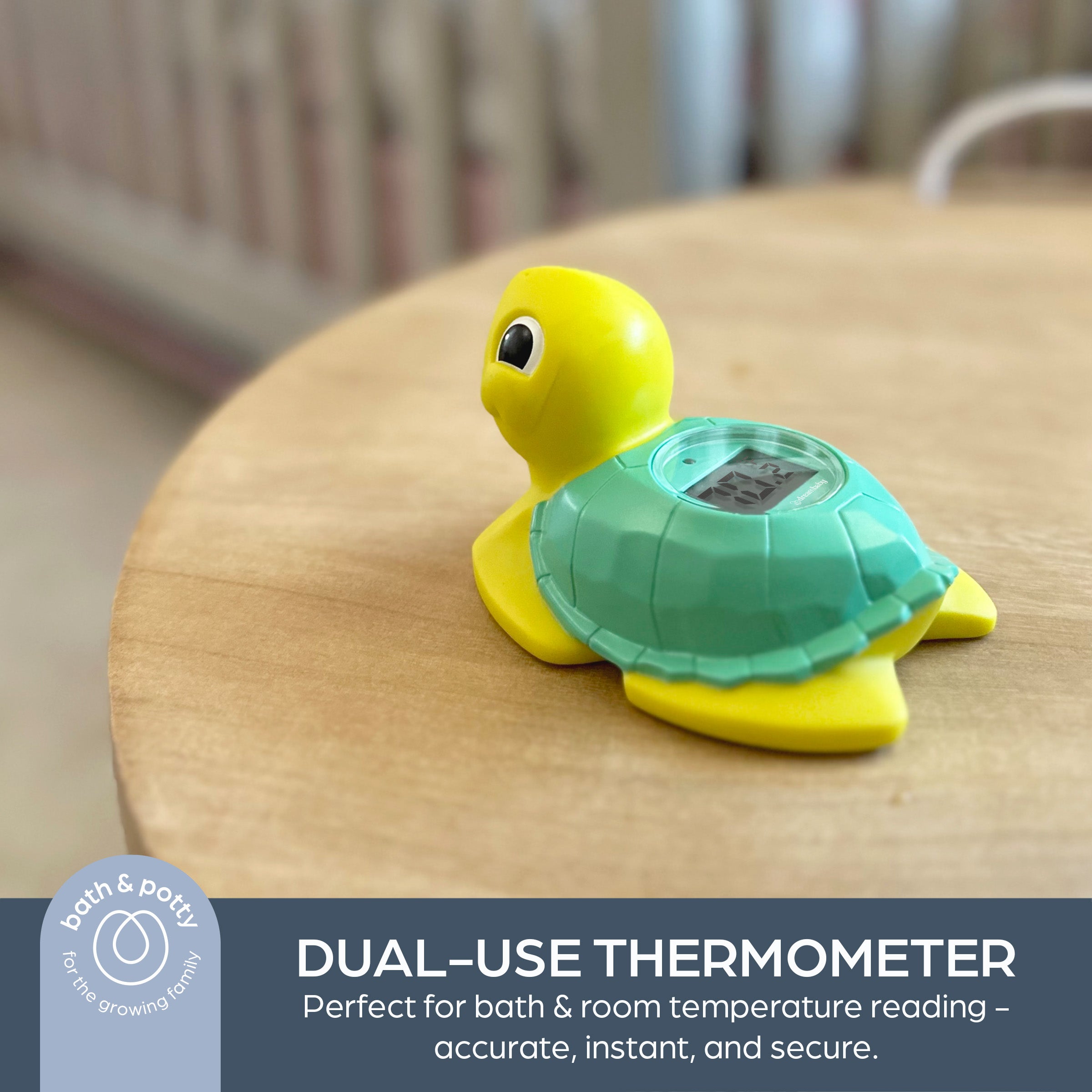 Room & Bath Thermometer - Turtle