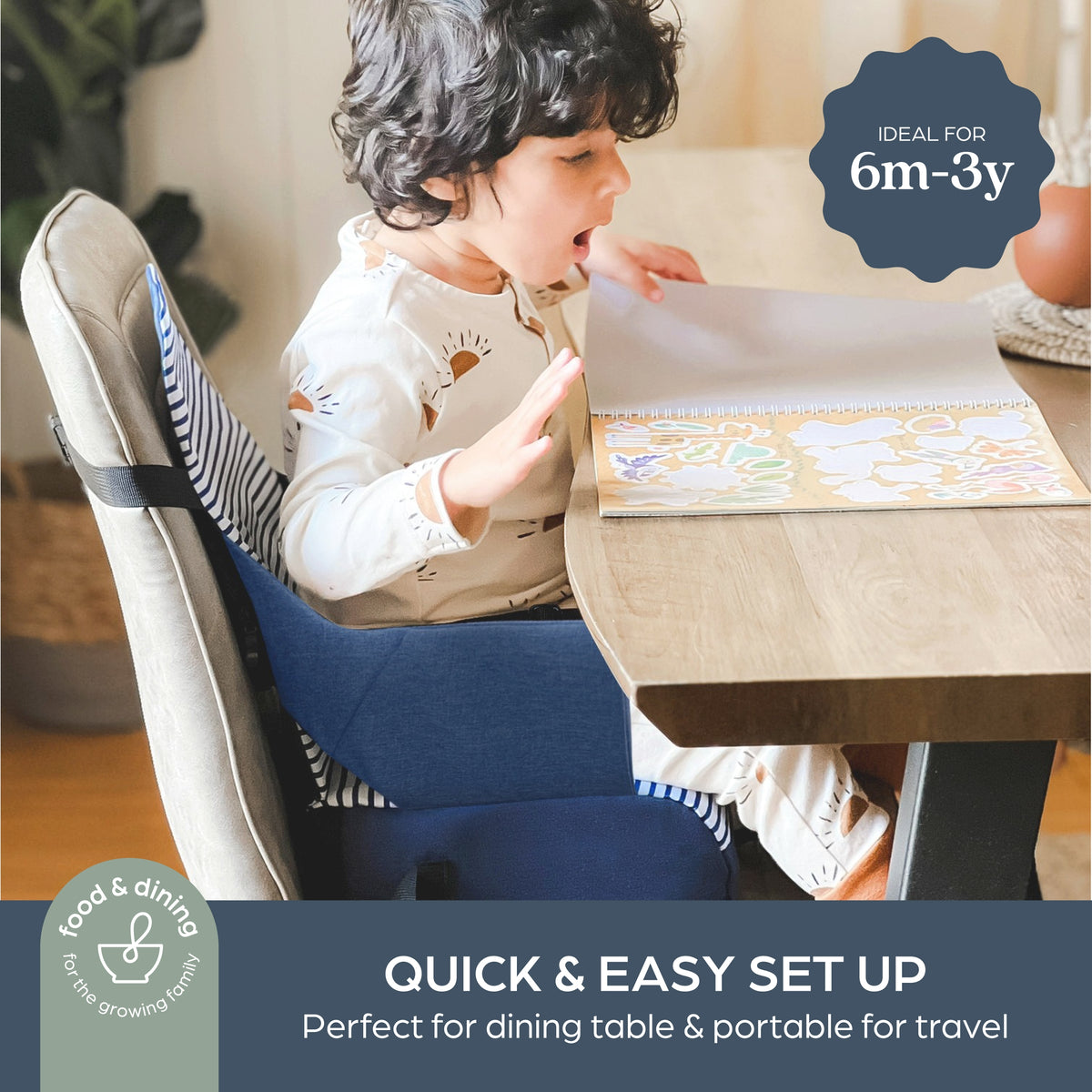 Grab N' Go Booster Buddy Denim Stripes